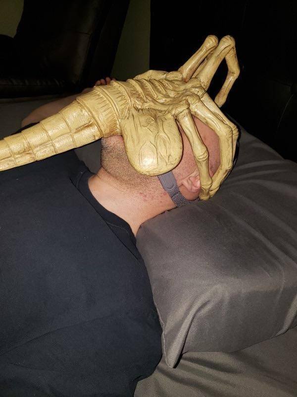 What Is Going On Here? (23 pics)