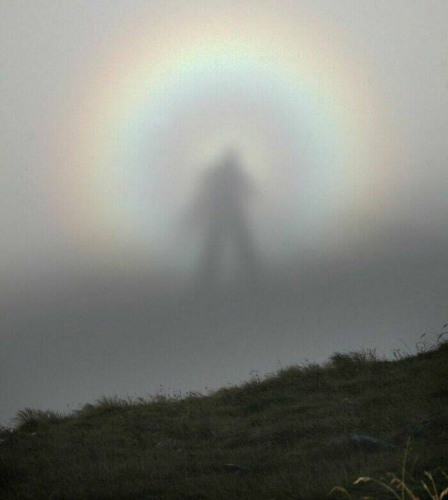 Interesting Finds And Discoveries (24 pics)