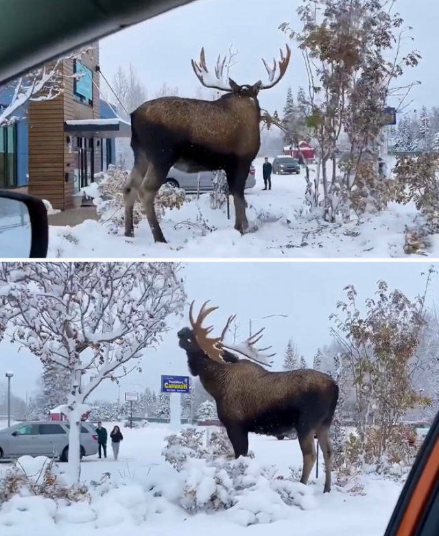 Interesting Finds And Discoveries (24 pics)