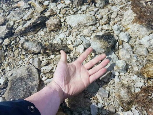 Interesting Finds And Discoveries (24 pics)