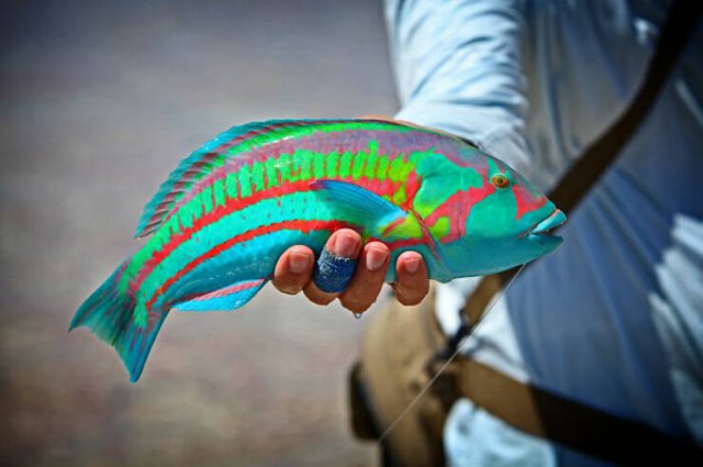 Interesting Finds And Discoveries (24 pics)