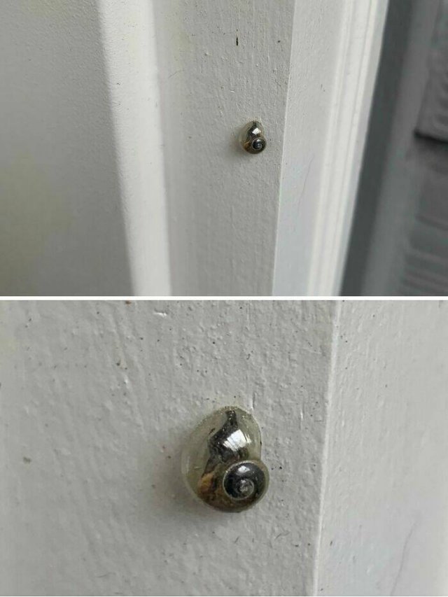 Interesting Finds And Discoveries (24 pics)