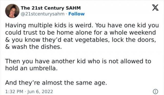 Sarcastic Parenting Tweets (15 pics)