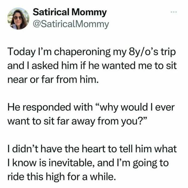 Sarcastic Parenting Tweets (15 pics)