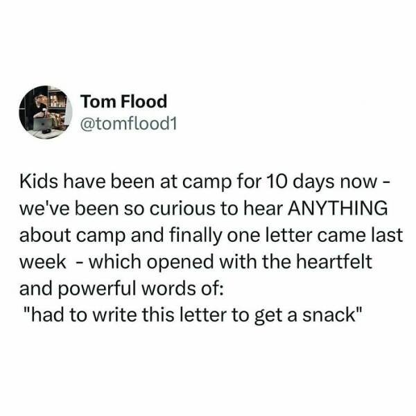Sarcastic Parenting Tweets (15 pics)