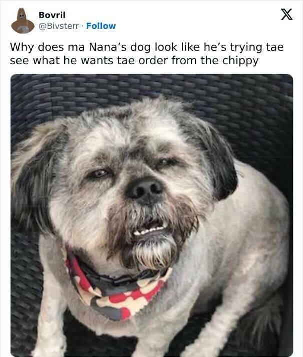 Jokes About Scotland (23 pics)
