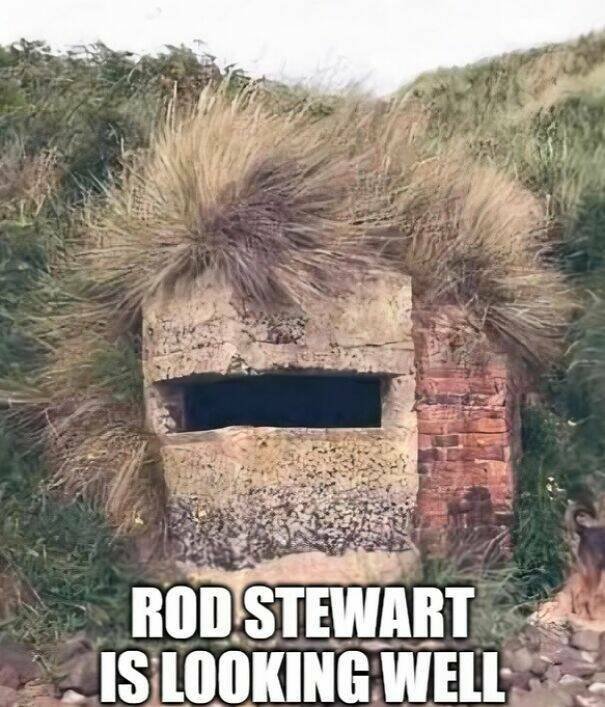 Jokes About Scotland (23 pics)
