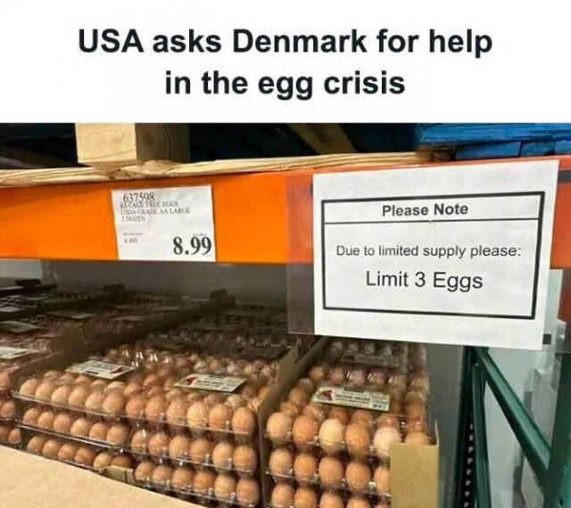 Ridiculous Situations (19 pics)