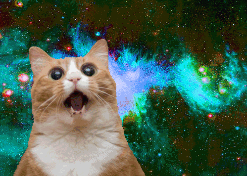 Random Facts (15 gifs) Random Facts (15 gifs)