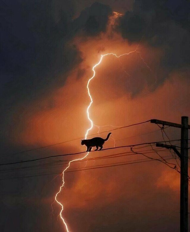 What Is Going On Here? (28 pics)