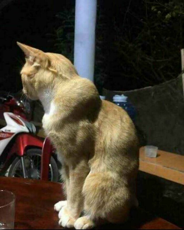 What Is Going On Here? (28 pics)