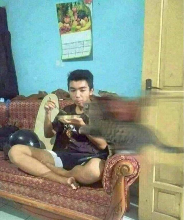 What Is Going On Here? (28 pics)