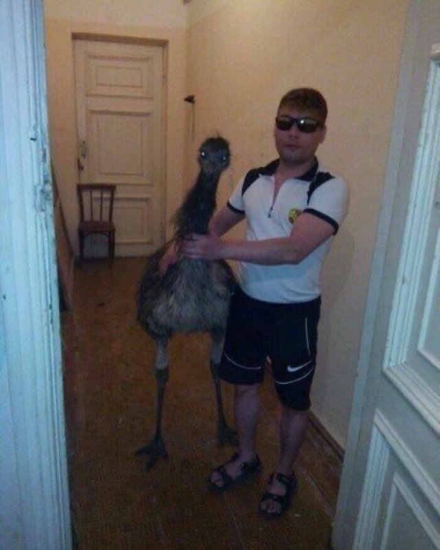 What Is Going On Here? (28 pics)