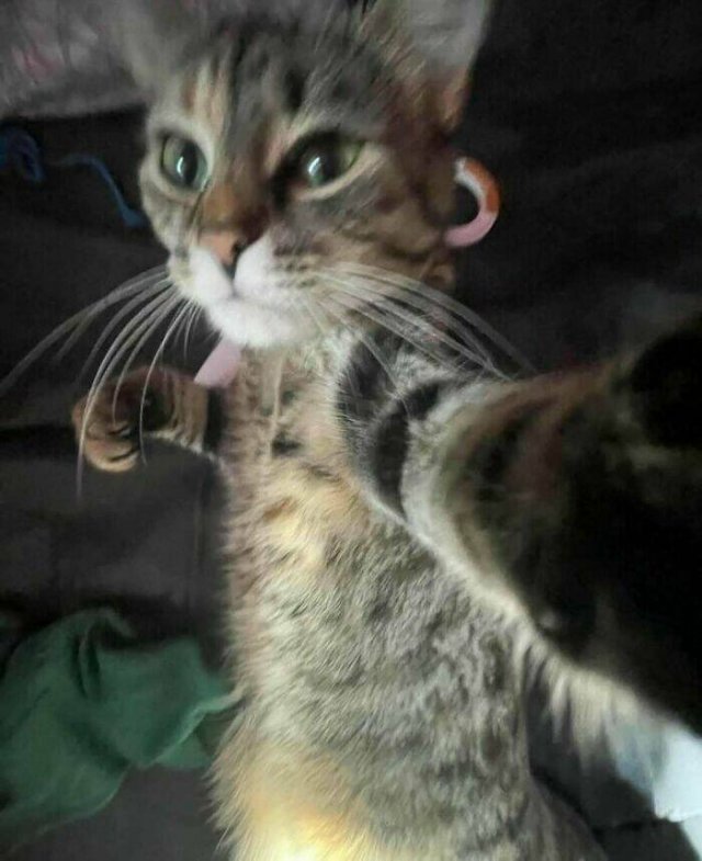 What Is Going On Here? (28 pics)