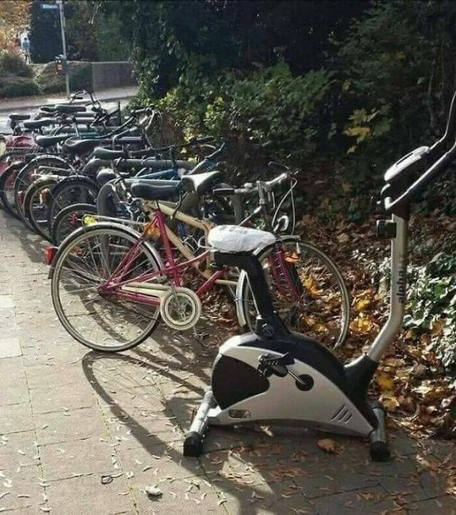 What Is Going On Here? (28 pics)