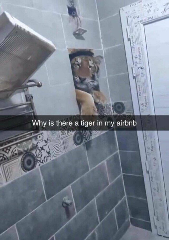What Is Going On Here? (28 pics)
