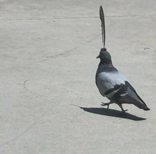 What Is Going On Here? (28 pics)
