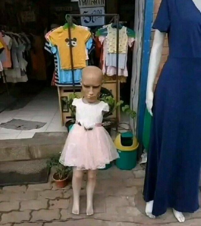 What Is Going On Here? (28 pics)