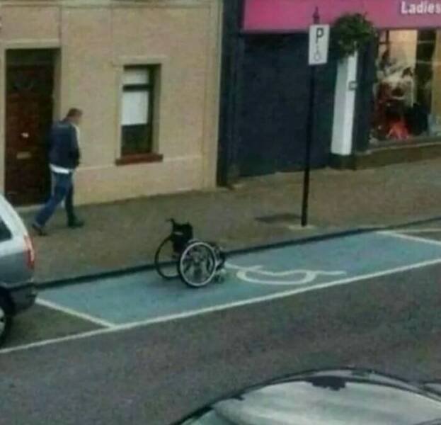 What Is Going On Here? (28 pics)