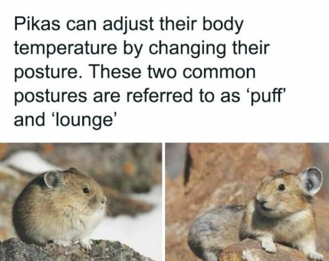 Dark Humor (24 pics)