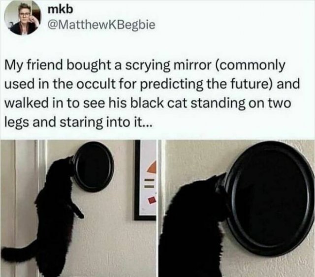 Dark Humor (24 pics)