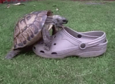 Things People Don't Understand (18 gifs)