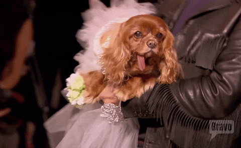 Things People Don't Understand (18 gifs)