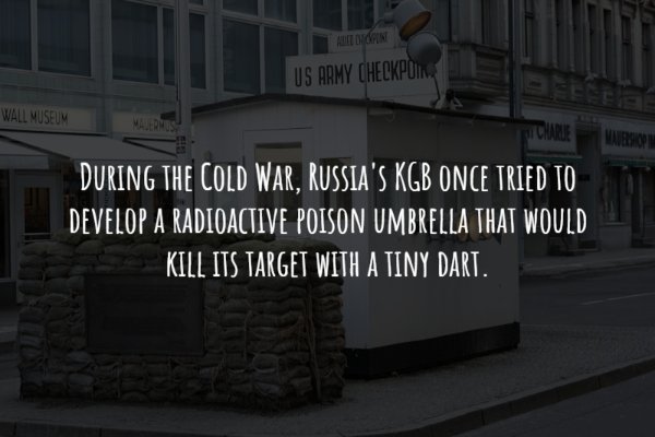 Interesting Historical Facts (19 pics)