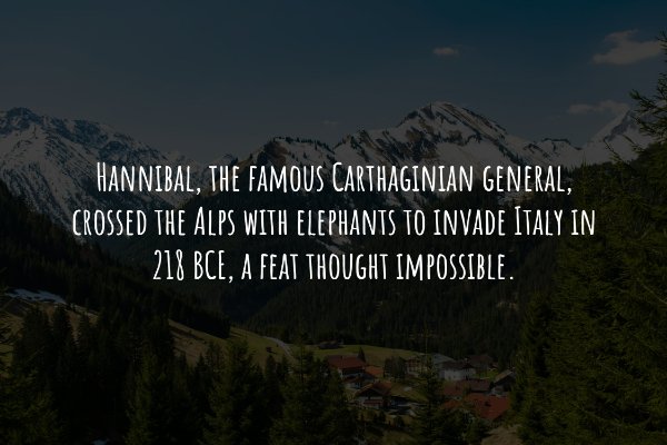 Interesting Historical Facts (19 pics)