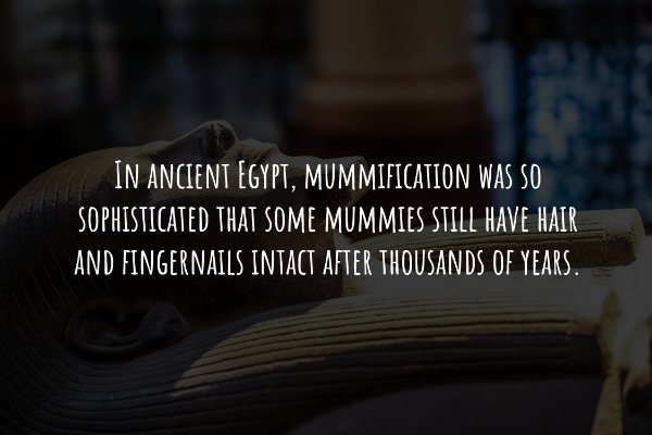 Interesting Historical Facts (19 pics)