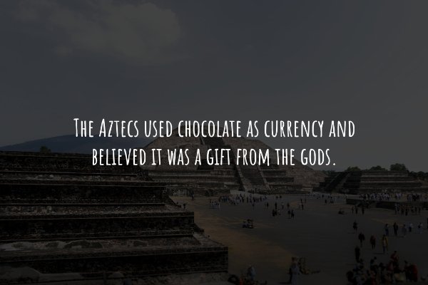 Interesting Historical Facts (19 pics)