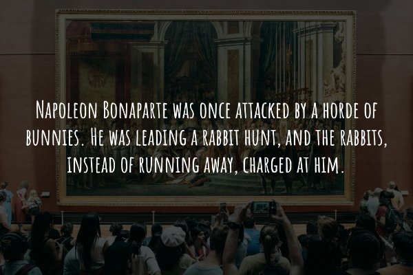 Interesting Historical Facts (19 pics)