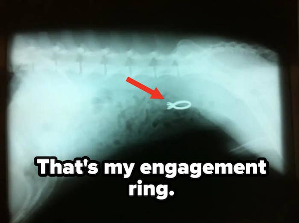 Bad Days Happen (23 pics)