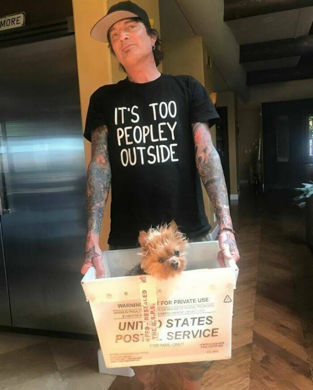 Funny Shirts (16 pics)