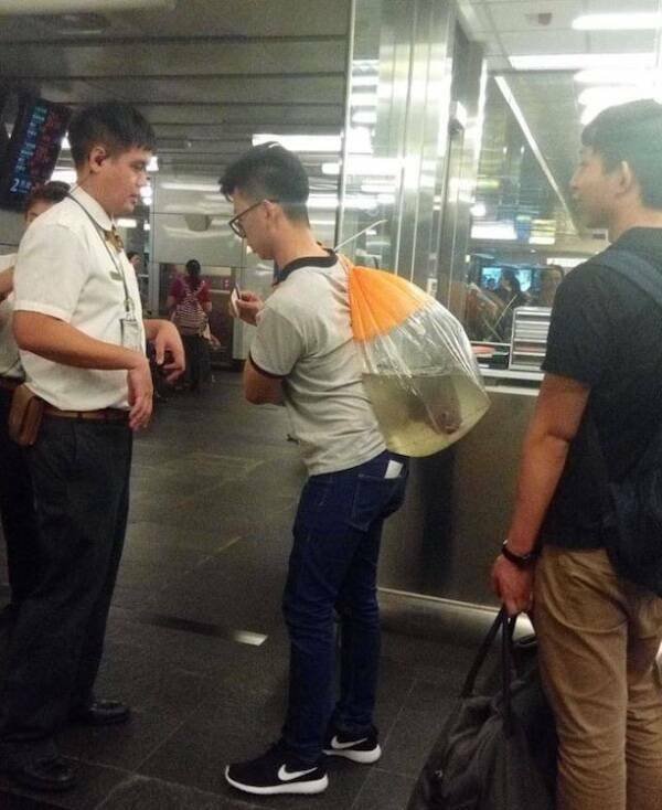 Strange People In The Subway (18 pics)