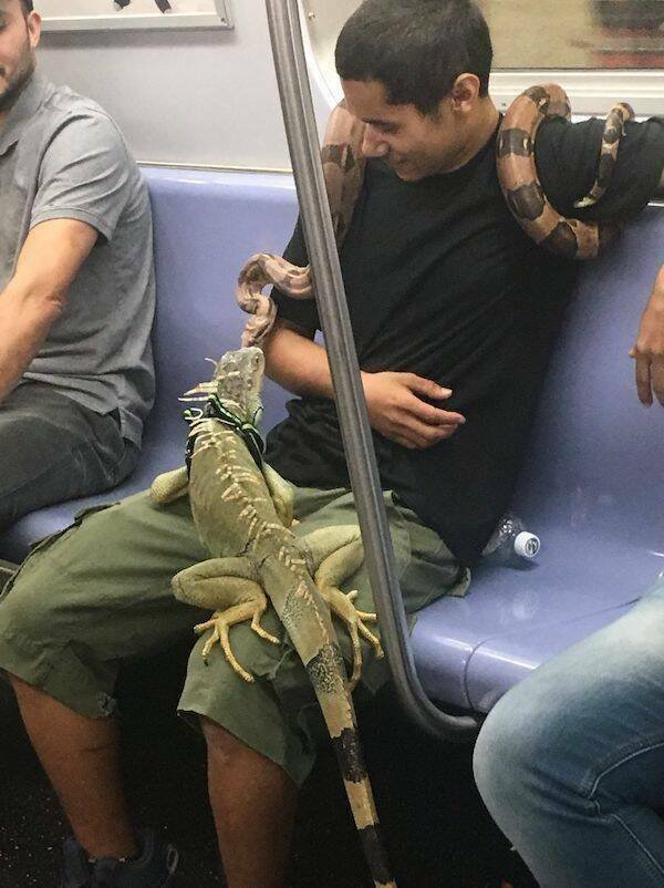 Strange People In The Subway (18 pics)
