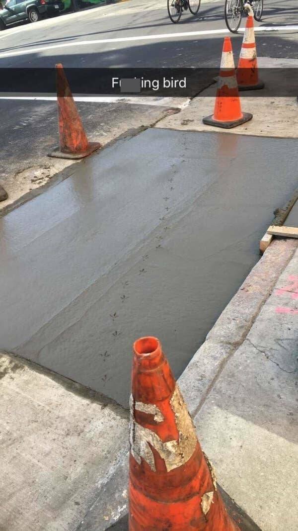 Expensive Mistakes (25 pics)