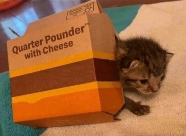 Cooking Jokes (25 pics)