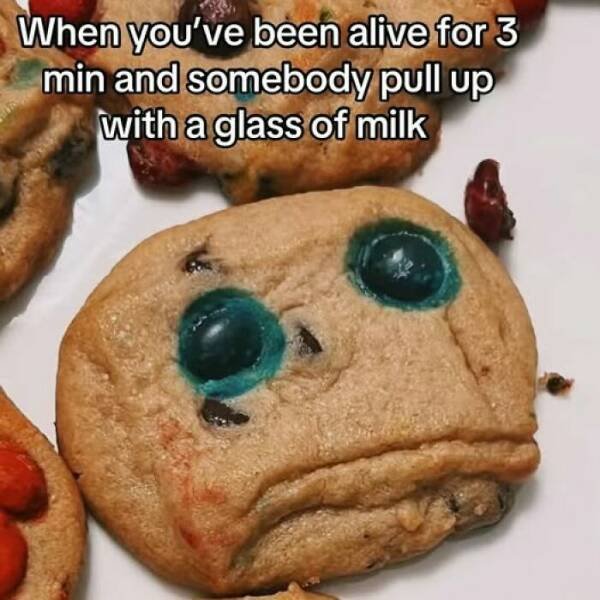 Cooking Jokes (25 pics)
