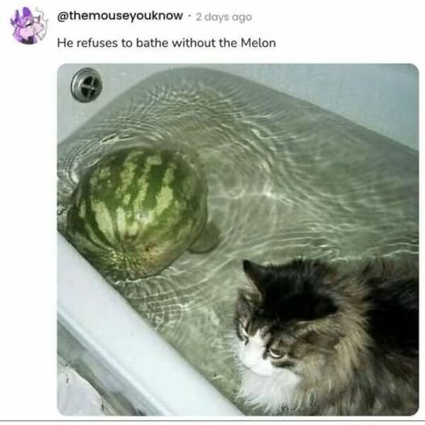 Cooking Jokes (25 pics)