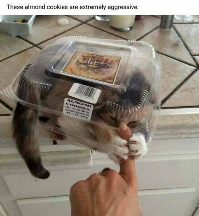 Cooking Jokes (25 pics)