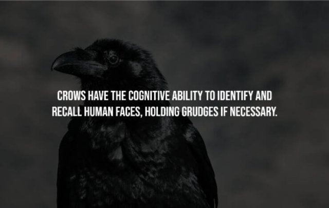 Creepy Facts (15 pics)
