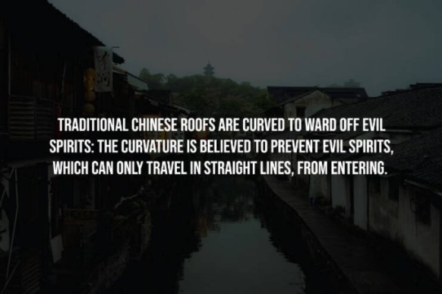 Creepy Facts (15 pics)
