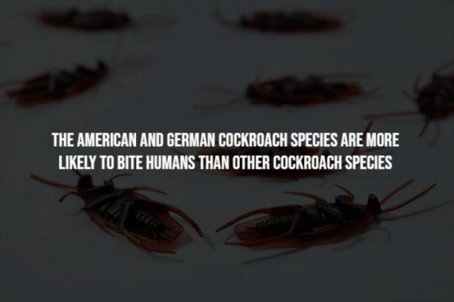 Creepy Facts (15 pics)