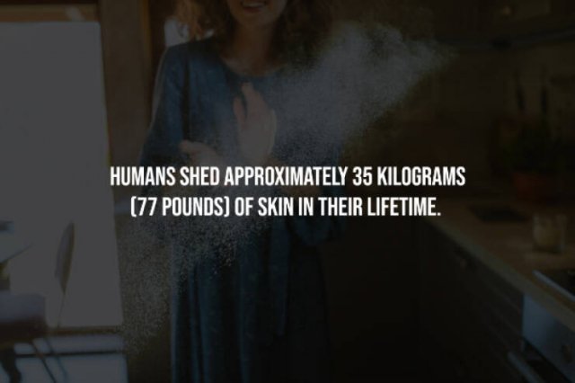 Creepy Facts (15 pics)