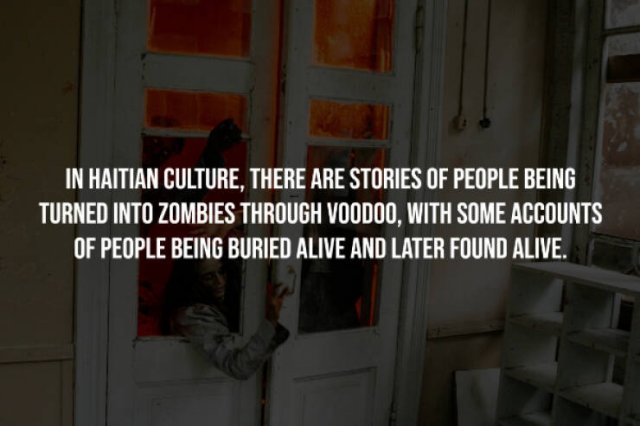 Creepy Facts (15 pics)