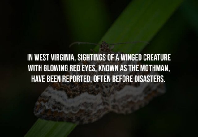 Creepy Facts (15 pics)