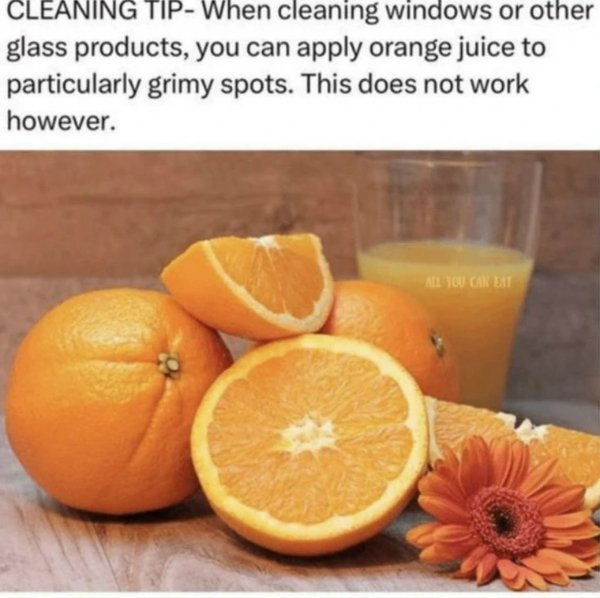 Funny Memes (24 pics)