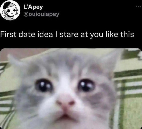 Funny Memes (24 pics)