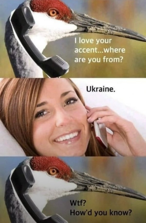 Funny Memes (24 pics)